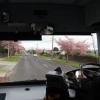 行ってきました　初めてのＮＺ