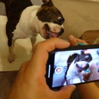 マルちゃんお水排出されたのかな