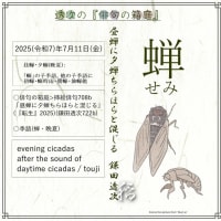 ■挿絵俳句708b「昼蝉に夕蝉ちらほらと混じる」(『転生』2025)(鎌田透次)