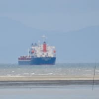 梅雨末期の海浜風景・・・2026年6月