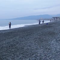 2025/06/14　土　国府津海岸