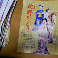 12月1日に、京都の、北野天満宮で、大茶会が、あり、行って、来ました。