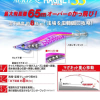 新製品のエギのインプレ