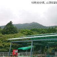 2022年9月4日　最近の筑波山神社の風景