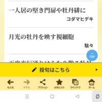 俳句ポスト　牡丹