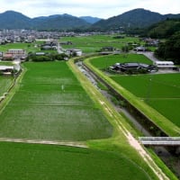 久しぶりのフライト