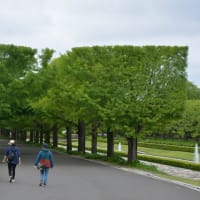 しゅうへい 昭和記念公園デビュー～＾＾