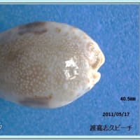 コモンダカラ
