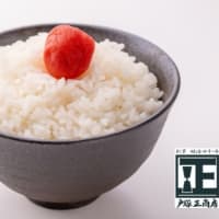 一度食べてみたいお米「龍の瞳」1kgサイズが人気です