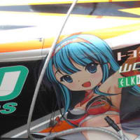 今年初のSUZUK.A