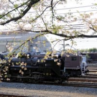 桜咲く秩父路を往くSLパレオエクスプレス旧型客車特別運行