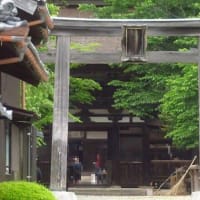5月、休日のあれこれ（2）