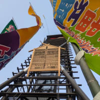 桜のどすこい「にばーい！にばーい！まるはっち！」