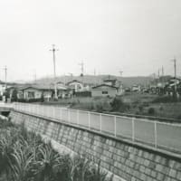 地産団地の写真　1974年6月