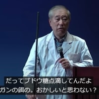 真実は語れない