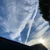 今日いち-2024年8月16日