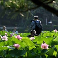 プール開き、訪問診療、訪問看護