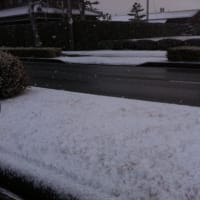 昨日の大雪