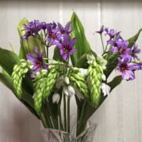 ４月２７日・・・