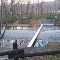 向う岸からの眺め