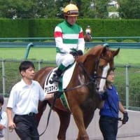 とうとうお別れ