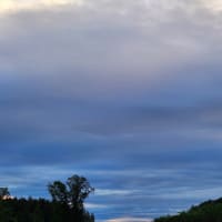 朝空