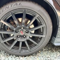 4ヵ月経過