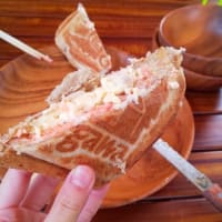 素晴らしき手ぶらキャンプ