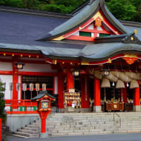 何時も見て頂き有難う御座います