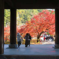 京都紅葉巡り2023：４日目、午後は南禅寺！