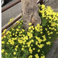 今日いち-2025年3月25日