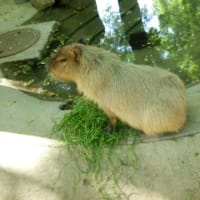 そういえば。
