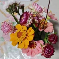熱中症アラート