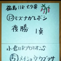 七夕賞、プロキオンS