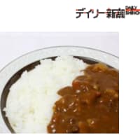 インドの「カレー」が日本の国民食になるまで鳥取市が消費量日本一である3つの理由