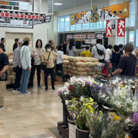 どこの米売り場もこんな様子