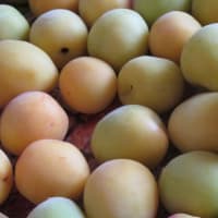 帯疱休題