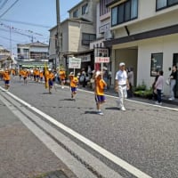 第77回日田川開き観光祭🎆