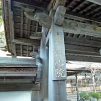 高野山に「お礼参り」