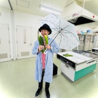 寿ストライプ
