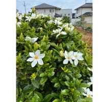 今日いち-2025年6月4日