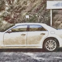 🚗【どっちを犠牲にするのか】🚙