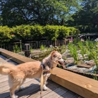 公園散歩が楽しいね😊