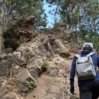 2025年4月26日の徒然・・・古賀志山トレーニング