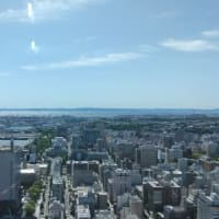 北仲ノット
