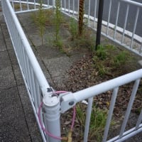 ”夏草や　兵どもが　夢の跡”　　　芭蕉『おくのほそ道』より