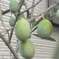 今日いち-2024年10月14日