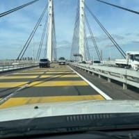 帰ってきました。