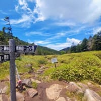 早くも納涼！？な坪庭自然園