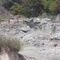 カエル岩（雲仙地獄）